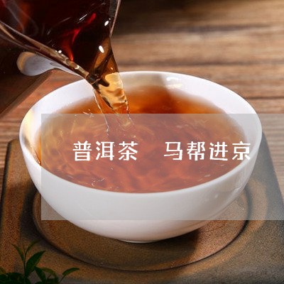 普洱茶 马帮进京/2023041294027